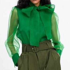 Zara Organza Blouse